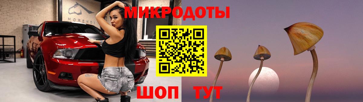 Соль-Илецк  Галлюциногенные грибы Magic Shrooms  Вход с VPN 
