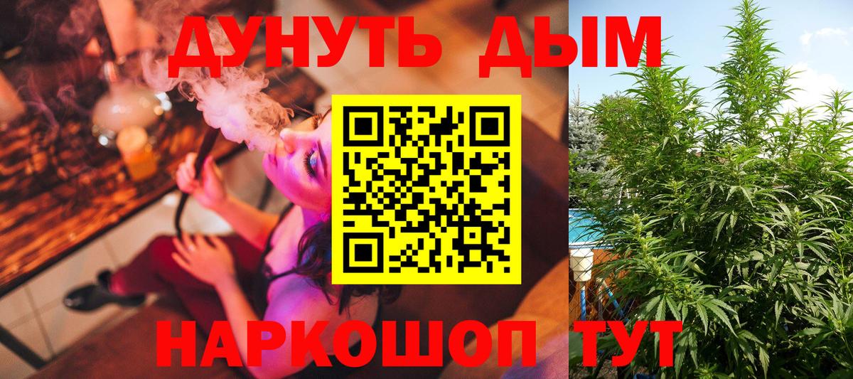 Каннабис White Widow  Каннабис конопля  Каннабис Bruce Banner  Вход с VPN  Конопля ГИДРОПОН  Соль-Илецк 